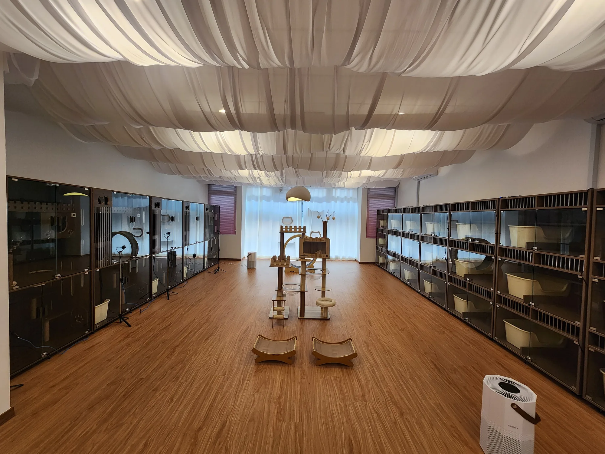 Inside hoMEOWner cat hotel in Mahkota Cheras